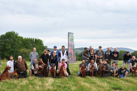 TAN test d'aptitudes naturelles 1ère étape pour votre Setter Irlandais